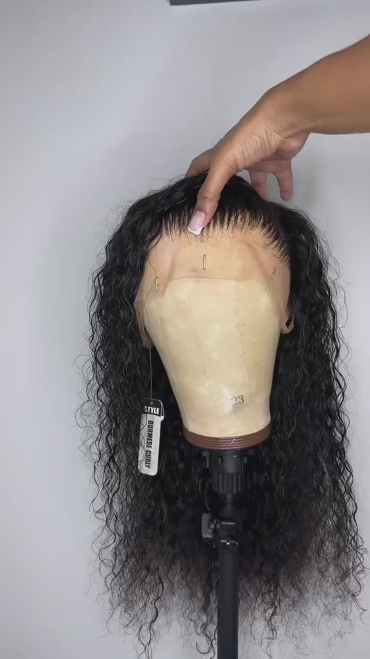 Burmese Curly